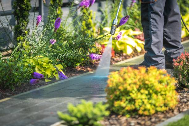 Trusted Savannah, TX Pressure Washing Services Experts